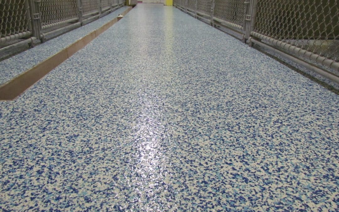 seamless epoxy flooring for animal care in Berkshire County, MA