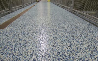 Top 5 Reasons Why Your Animal Hospital Should Have an Epoxy Floor System