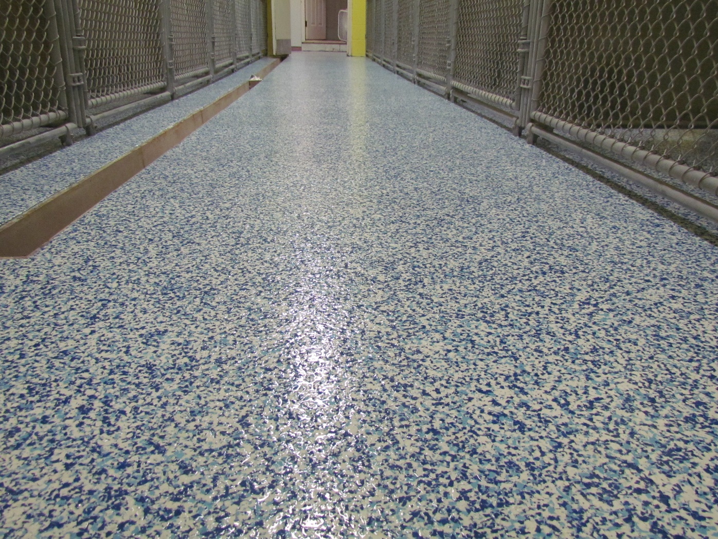 seamless epoxy flooring for animal care in CT