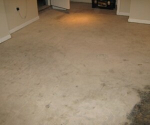 A mostly empty room with bare, stained concrete flooring and beige walls. An open door and a black toolbox are visible in the background. The dim lighting highlights where industrial floor coating or resinous flooring CT could improve the space. A mostly empty room with bare, stained concrete flooring and beige walls. An open door and a black toolbox are visible in the background. The dim lighting highlights where industrial floor coating or resinous flooring CT could improve the space.