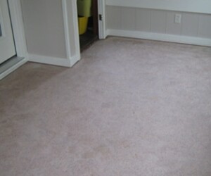 A room with light beige carpet flooring, white baseboards, a closed white door, and light gray lower wall paneling. Perfectly suited for an upgrade with resinous flooring CT or USDA approved flooring for added durability and safety. A yellow bucket is partially visible in the doorway. A room with light beige carpet flooring, white baseboards, a closed white door, and light gray lower wall paneling. Perfectly suited for an upgrade with resinous flooring CT or USDA approved flooring for added durability and safety. A yellow bucket is partially visible in the doorway.