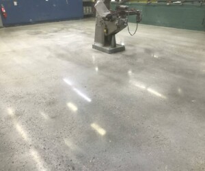 A spacious, empty workshop with anti-slip epoxy floor, a single industrial machine in the center, blue cabinets along the back wall, and fluorescent lights reflecting on the polished surface. A spacious, empty workshop with anti-slip epoxy floor, a single industrial machine in the center, blue cabinets along the back wall, and fluorescent lights reflecting on the polished surface.