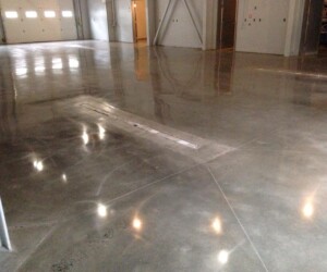 A large, empty room with polished concrete floors reflecting overhead lights—perhaps enhanced by industrial floor coating. Visible lines and a rectangular drainage grate mark the floor, while light-colored walls and a few doors appear in the background. A large, empty room with polished concrete floors reflecting overhead lights—perhaps enhanced by industrial floor coating. Visible lines and a rectangular drainage grate mark the floor, while light-colored walls and a few doors appear in the background.