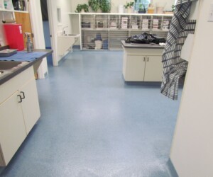 A clean laboratory workspace with anti-slip epoxy floor in blue, white cabinets, countertops, and multiple sinks. Shelves with organized containers and plants are visible in the background. A striped cloth hangs on the right side. A clean laboratory workspace with anti-slip epoxy floor in blue, white cabinets, countertops, and multiple sinks. Shelves with organized containers and plants are visible in the background. A striped cloth hangs on the right side.