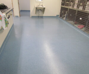 A clean room with anti-slip epoxy floor, blue speckled flooring, an empty stainless steel sink, metal animal cages along the right wall, and colorful aprons hanging on the left. The area appears well-lit and organized. A clean room with anti-slip epoxy floor, blue speckled flooring, an empty stainless steel sink, metal animal cages along the right wall, and colorful aprons hanging on the left. The area appears well-lit and organized.