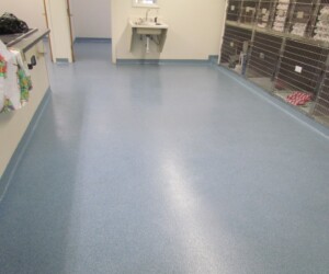 A clean room with anti-slip epoxy floor, blue speckled flooring, an empty stainless steel sink, metal animal cages along the right wall, and colorful aprons hanging on the left. The area appears well-lit and organized. A clean room with anti-slip epoxy floor, blue speckled flooring, an empty stainless steel sink, metal animal cages along the right wall, and colorful aprons hanging on the left. The area appears well-lit and organized.
