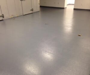 A large, empty room with smooth, gray industrial floor coating, minimal lighting, and a few floor drains. The walls are light-colored, and there are doors and electrical outlets visible in the background. A large, empty room with smooth, gray industrial floor coating, minimal lighting, and a few floor drains. The walls are light-colored, and there are doors and electrical outlets visible in the background.