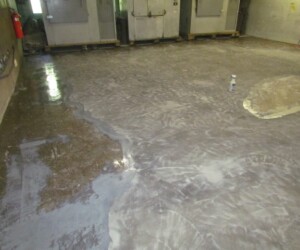 A large, mostly empty industrial room with wet, glossy commercial kitchen flooring. Some powdery residue and a cleaning bottle are visible on the floor. Industrial equipment and a fire extinguisher line the back and left walls. A large, mostly empty industrial room with wet, glossy commercial kitchen flooring. Some powdery residue and a cleaning bottle are visible on the floor. Industrial equipment and a fire extinguisher line the back and left walls.