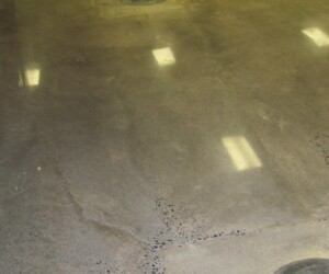 A polished concrete floor with visible light reflections, some small cracks, and areas of exposed aggregate—ideal as USDA approved flooring for commercial kitchen flooring needs. A polished concrete floor with visible light reflections, some small cracks, and areas of exposed aggregate—ideal as USDA approved flooring for commercial kitchen flooring needs.