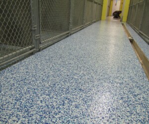 A shiny, speckled blue and white epoxy floor—typical of premium epoxy flooring Connecticut—runs between chain-link fenced enclosures in an indoor kennel. In the background, a person is crouched near a door at the end of the hallway. A shiny, speckled blue and white epoxy floor—typical of premium epoxy flooring Connecticut—runs between chain-link fenced enclosures in an indoor kennel. In the background, a person is crouched near a door at the end of the hallway.