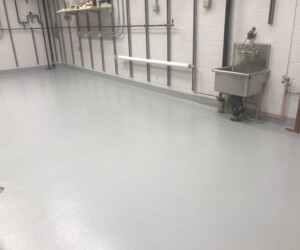A clean, empty utility room with a smooth gray anti-slip epoxy floor, wall-mounted utility sink, exposed pipes, and shelves holding various items along the back wall. A clean, empty utility room with a smooth gray anti-slip epoxy floor, wall-mounted utility sink, exposed pipes, and shelves holding various items along the back wall.