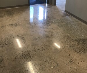 A polished concrete floor in a hallway or office space, reflecting overhead lights and open doors. With gray-painted walls and carpeting in the background, this surface rivals premium epoxy flooring Connecticut businesses trust. A polished concrete floor in a hallway or office space, reflecting overhead lights and open doors. With gray-painted walls and carpeting in the background, this surface rivals premium epoxy flooring Connecticut businesses trust.