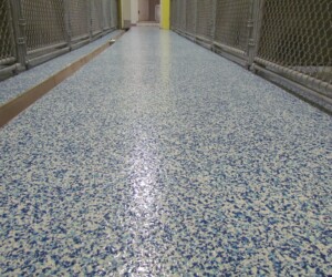 A shiny, speckled blue and white anti-slip epoxy floor stretches down a hallway, flanked by chain-link fences on both sides and doors visible in the distance. A shiny, speckled blue and white anti-slip epoxy floor stretches down a hallway, flanked by chain-link fences on both sides and doors visible in the distance.