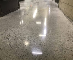 Polished concrete floor in a hallway with reflections of ceiling lights; a beige wall is on the right and a dark cabinet is on the left. The clean, empty area highlights the appeal of USDA approved flooring solutions. Polished concrete floor in a hallway with reflections of ceiling lights; a beige wall is on the right and a dark cabinet is on the left. The clean, empty area highlights the appeal of USDA approved flooring solutions.